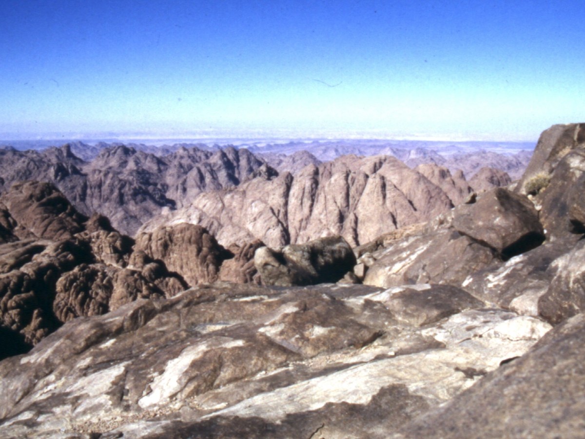Die zehn Gebote der&nbsp;Proaktivität